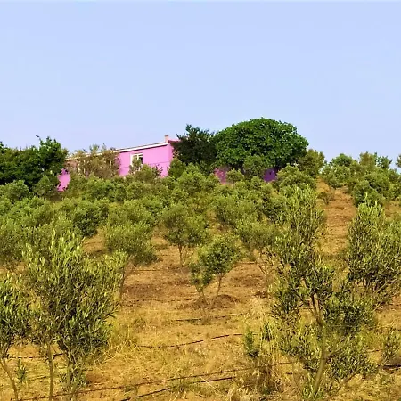 Lavender Tiny Houses Holiday home Seferihisar