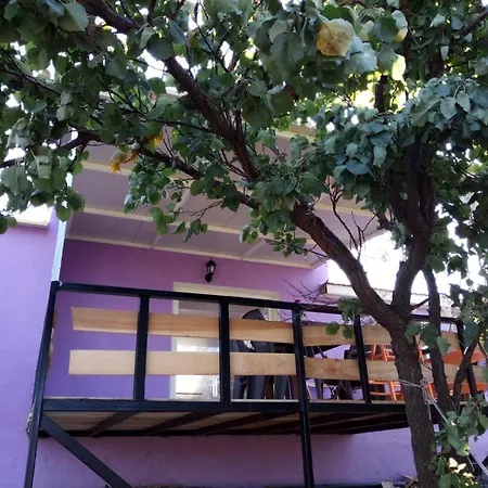 Lavender Tiny Houses